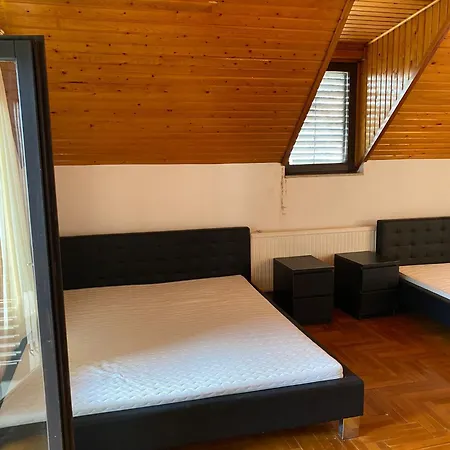 Luxury 3 Bedroom Vila In A Forest 10Min Drive From City Center Boedapest Buitenkant foto