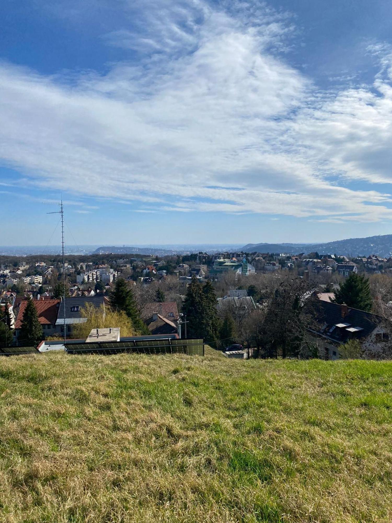 Luxury 3 Bedroom In A Forest 10min Drive From Center Willa Budapeszt