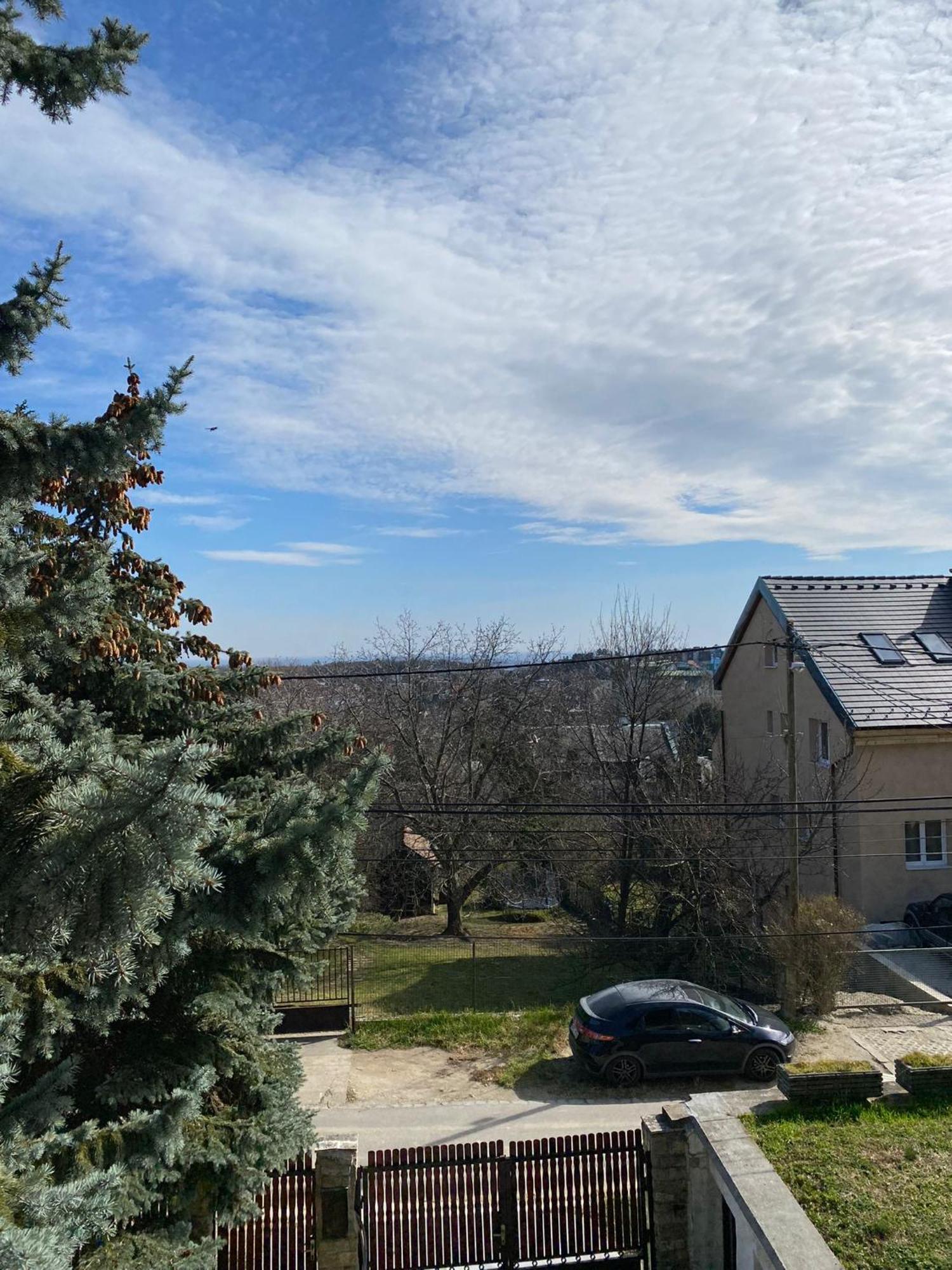 Вилла Luxury 3 Bedroom In A Forest 10min Drive From Center Будапешт
