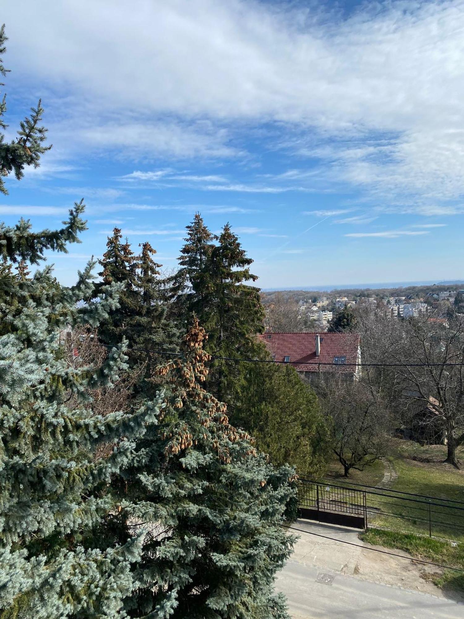 Вилла Luxury 3 Bedroom In A Forest 10min Drive From Center *