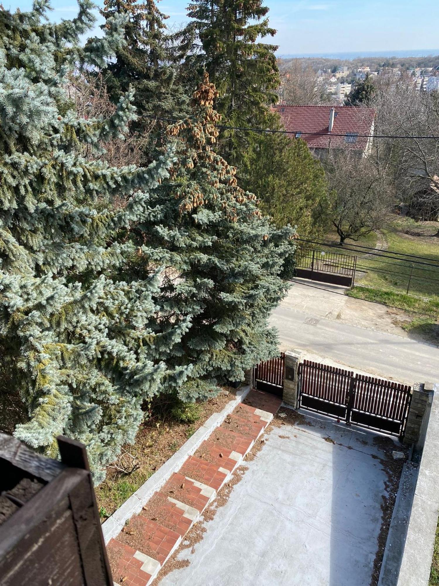 Вилла Luxury 3 Bedroom In A Forest 10min Drive From Center Будапешт