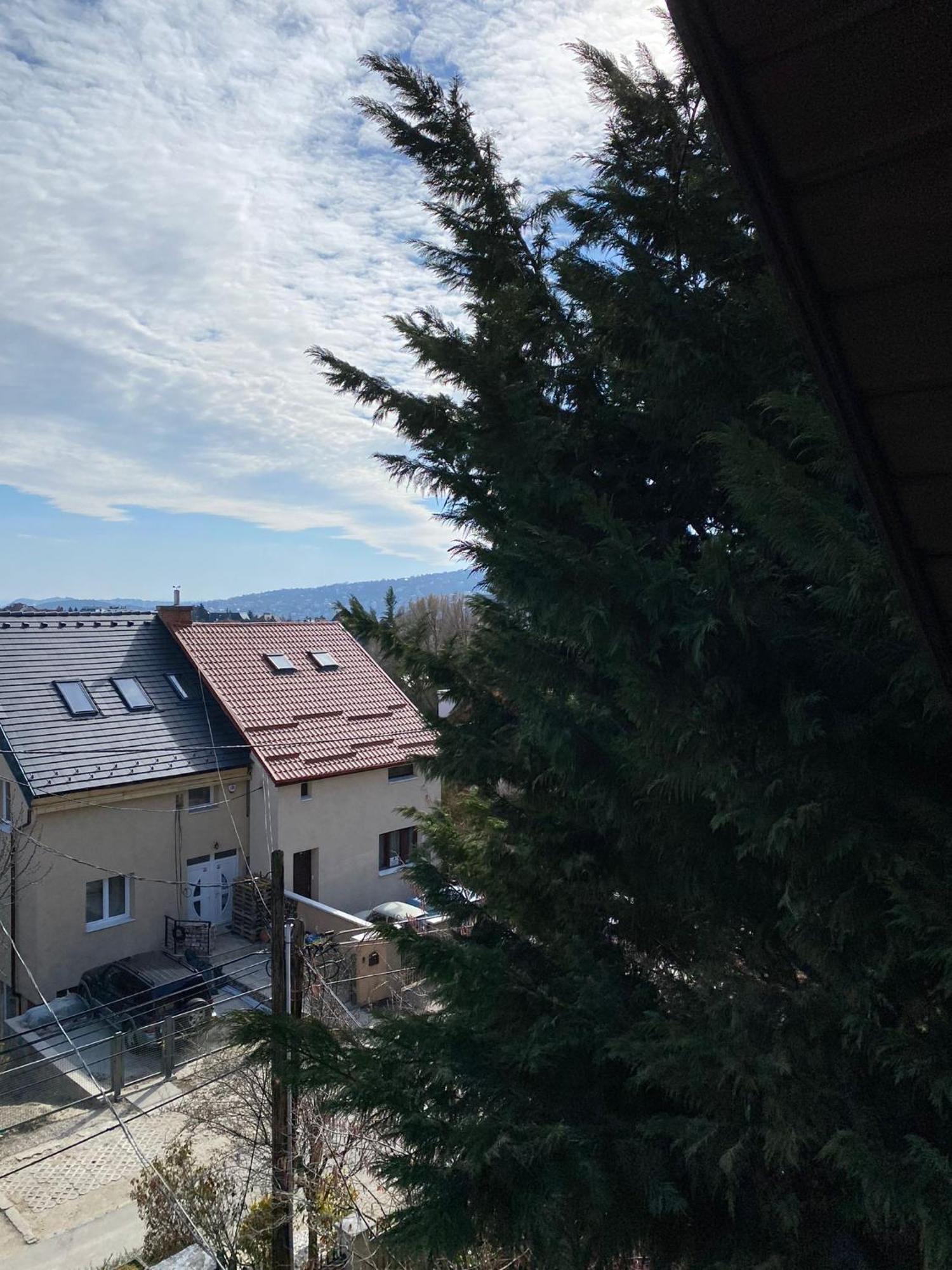 Luxury 3 Bedroom In A Forest 10min Drive From Center Вилла *