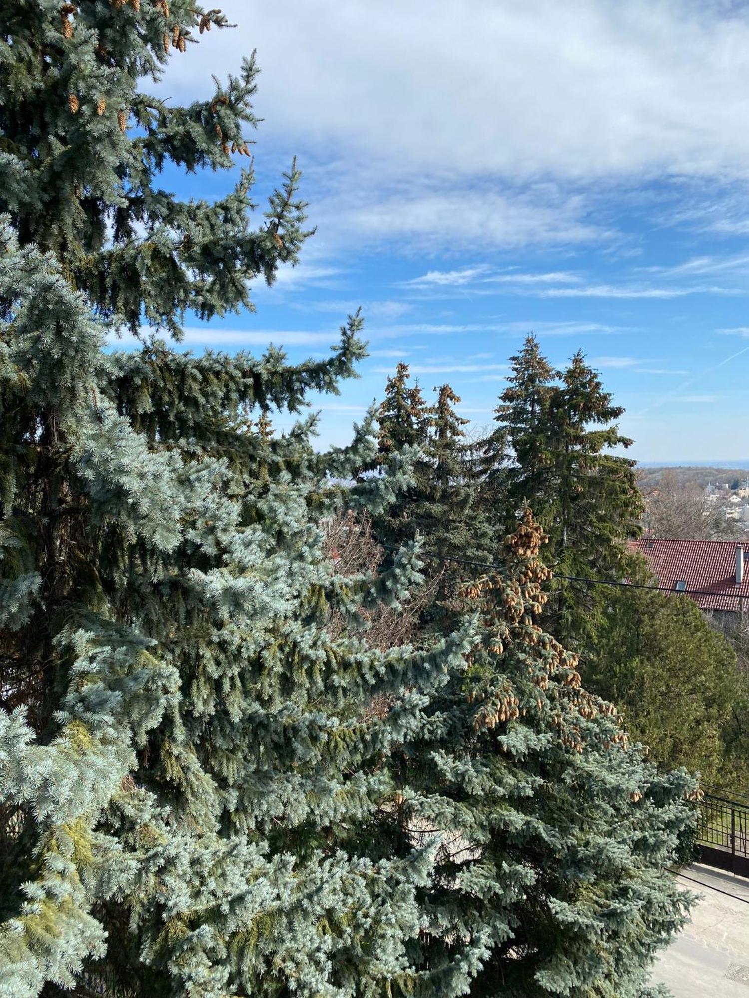 Luxury 3 Bedroom In A Forest 10min Drive From Center Вилла Будапешт